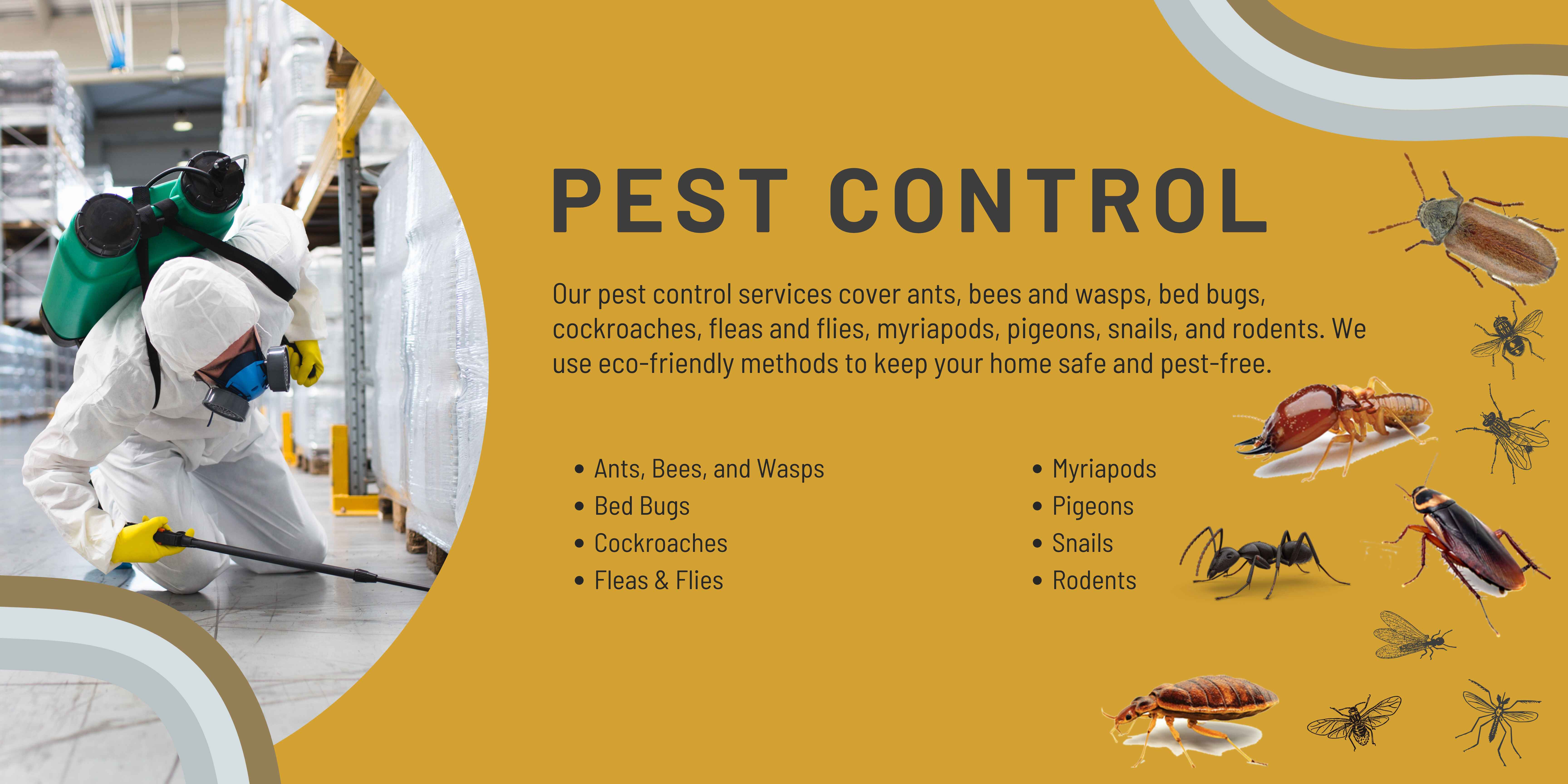 Effective Pest Solutions